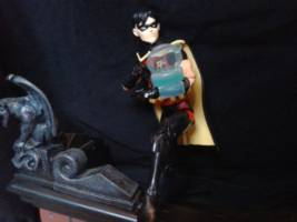YJ Robin (DC Universe) Custom Action Figure