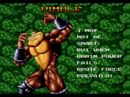 Pimple the Battletoad (Battletoads) Custom Action Figure