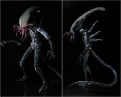 Abbeymorph (Aliens) Custom Action Figure