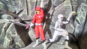 S.H.Figuarts Zyuoh Tiger (Power Rangers) Custom Action Figure [Zyuoh Eagle & Zyuoh Tiger!!!]