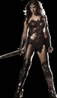 Wonder Woman (DC Infinite Heroes) Custom Action Figure
