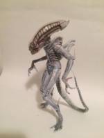 Albino Xenomorph (Aliens) Custom Action Figure [Albino Xenomorph]