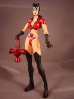 Catwoman Red Lantern (DC Universe) Custom Action Figure