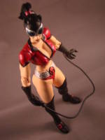 Catwoman Red Lantern (DC Universe) Custom Action Figure