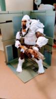 Man ape (Marvel Legends) Custom Action Figure
