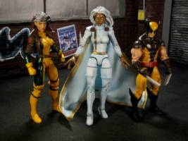 Storm (Marvel Legends) Custom Action Figure