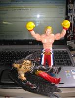 Steve Fox (Tekken 5) Custom Action Figure