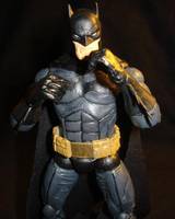 Batman: Watchful Protector (Batman) Custom Action Figure