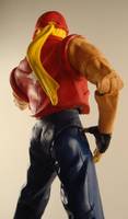 Terry Bogard (Capcom vs. SNK) Custom Action Figure