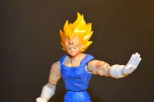 Majin Vegeta (Dragonball Z) Custom Action Figure