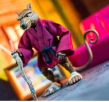 Master splinter (Teenage Mutant Ninja Turtles) Custom Action Figure