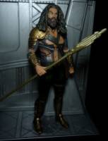 Aquaman Batman v Superman movie (DC Universe) Custom Action Figure