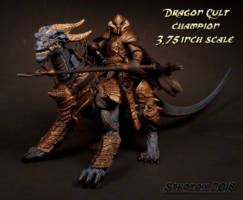 Dragon Cult Champion (Lord of the Rings) Custom Action Figure