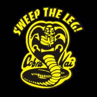 Johnny Lawrence(william zabka) Cobra kai (Street Fighter) Custom Action Figure [NEVER DIE!]
