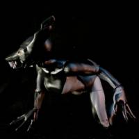 Wolfsbane (X-Force) V2 (Marvel Legends) Custom Action Figure