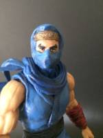 Ryu Hayabusa (Ninja Gaiden) Custom Action Figure