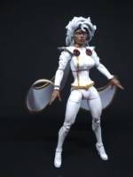 Storm ( Jim Lee style) (Marvel Legends) Custom Action Figure