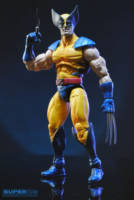 Wolverine (Tiger Stripe) (Marvel Universe) Custom Action Figure