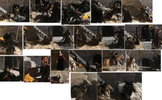 Arwen (Rider outfit) (Lord of the Rings) Custom Action Figure [Fighting the Nazgul]
