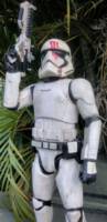 Storm Trooper (Finn) (Star Wars) Custom Statue / Bust