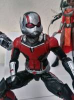 Ant-Man and The Wasp (Mini version) (Marvel Legends) Custom Miniature / Figurine