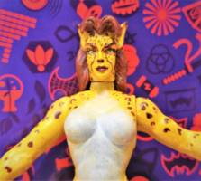 Cheetah Total Justic (DC Superheroes) Custom Action Figure