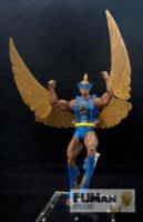 DC Northwind (DC Superheroes) Custom Action Figure