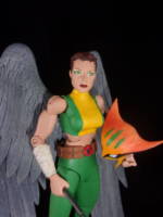 Hawkgirl (Kendra Saunders) (DC Universe) Custom Action Figure