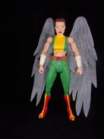 Hawkgirl (Kendra Saunders) (DC Universe) Custom Action Figure