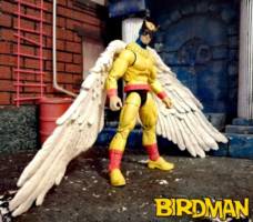 Birdman (Space Ghost) Custom Action Figure